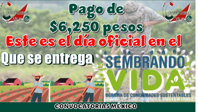 Pago de $6,250 pesos | Este es el día oficial en el que se entrega