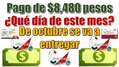 Pago de $8,480 pesos | ¿Qué día de este mes de octubre se va a entregar?