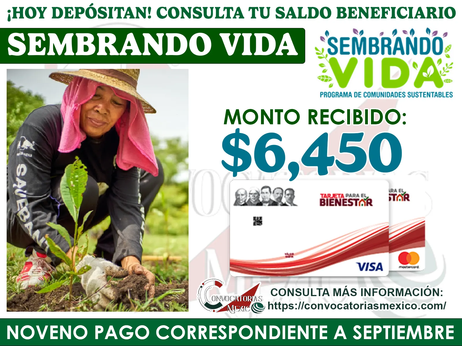 Pago extra del Bienestar: adultos mayores reciben depósito este 9 de septiembre