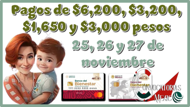 Pagos de $6,200, $3,200, $1,650 y $3,000 pesos | 25, 26 y 27 de noviembre 