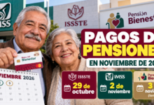 Pagos para adultos mayores en noviembre de 2026: fechas del IMSS, ISSSTE y posible calendario de la Pensión Bienestar