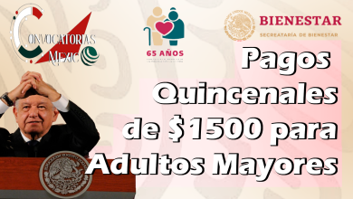 Los Pagos de las Pensiones Bienestar Podrían ser Quincenales según palabras de AMLO