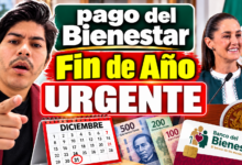 Tarjeta del Bienestar vencida en septiembre 2026: qué hacer para asegurar tu pago 12 Pasos para actualizar tus datos en la Línea del Bienestar