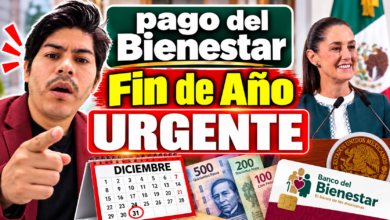 Pasos para actualizar tus datos en la Línea del Bienestar