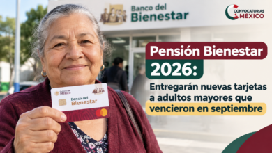 Pensión Bienestar 2026: Entregarán nuevas tarjetas a adultos mayores que vencieron en septiembre