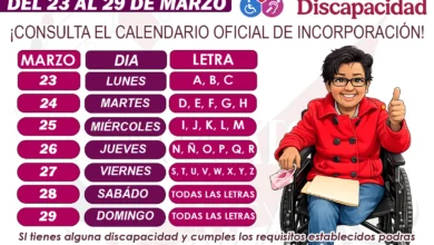 Pensión Bienestar para Personas con Discapacidad: Registro Disponible en Marzo del 23 al 29