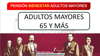 Pensión adultos mayores 65 y más