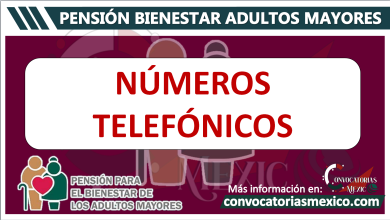 Pensión adultos mayores teléfono