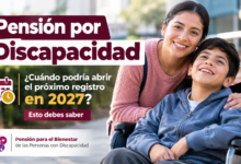 Pensión por Discapacidad: ¿Cuándo podría abrir el próximo registro en 2027? Esto debes saber