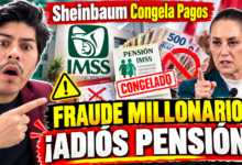 Por qué el IMSS está suspendiendo pagos de la Modalidad 40