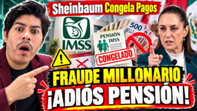 Por qué el IMSS está suspendiendo pagos de la Modalidad 40