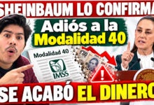 IMSS suspende pensiones de Modalidad 40 por fraudes: ¿A quiénes afecta la medida? 12 Por qué el IMSS está suspendiendo pensiones de la Ley 73
