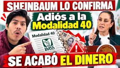 Por qué el IMSS está suspendiendo pensiones de la Ley 73