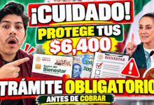 Por qué es crucial registrar un Adulto Auxiliar