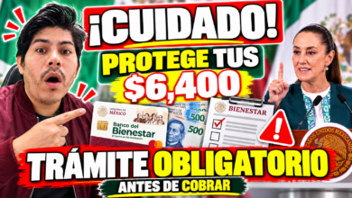 Por qué es crucial registrar un Adulto Auxiliar