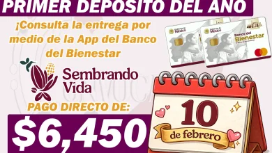 Primer Pago del Año del Programa Sembrando Vida ¡Consulta tu depósito bancario de 6 mil 450 pesos!
