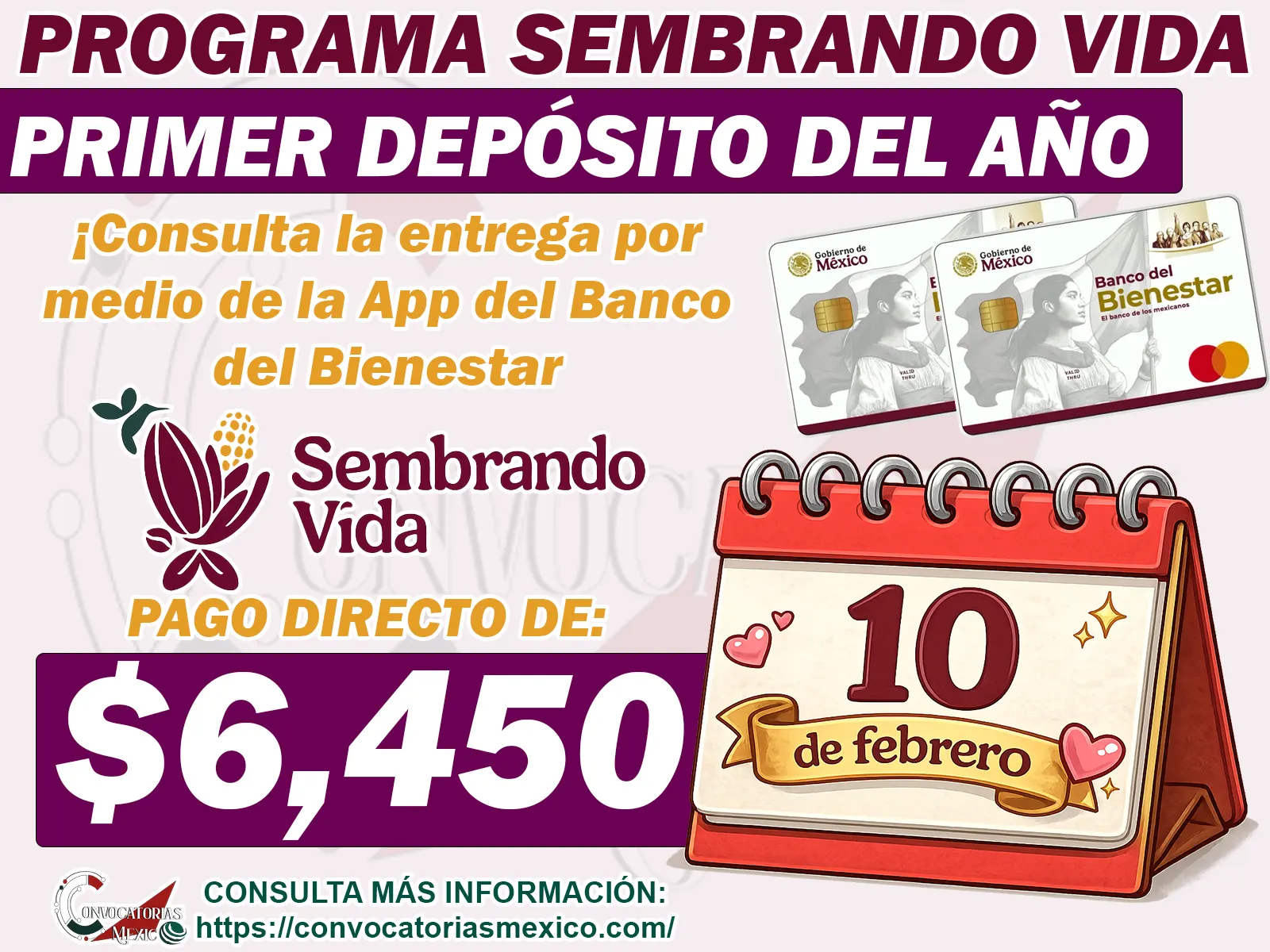 Primer Pago del Año del Programa Sembrando Vida ¡Consulta tu depósito bancario de 6 mil 450 pesos!