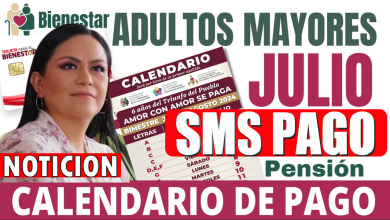 Primera semana de julio del Bienestar abarca del 1 al 6 de julio y cobran las letras A a la G Adultos Mayores ¡Ariadna Montiel Reyes confirma oficialmente!