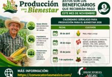 Producción para el Bienestar ¡Estos son los beneficiarios que recibirán pago este mes de noviembre!