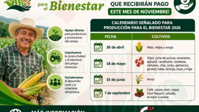 Producción para el Bienestar ¡Estos son los beneficiarios que recibirán pago este mes de noviembre!
