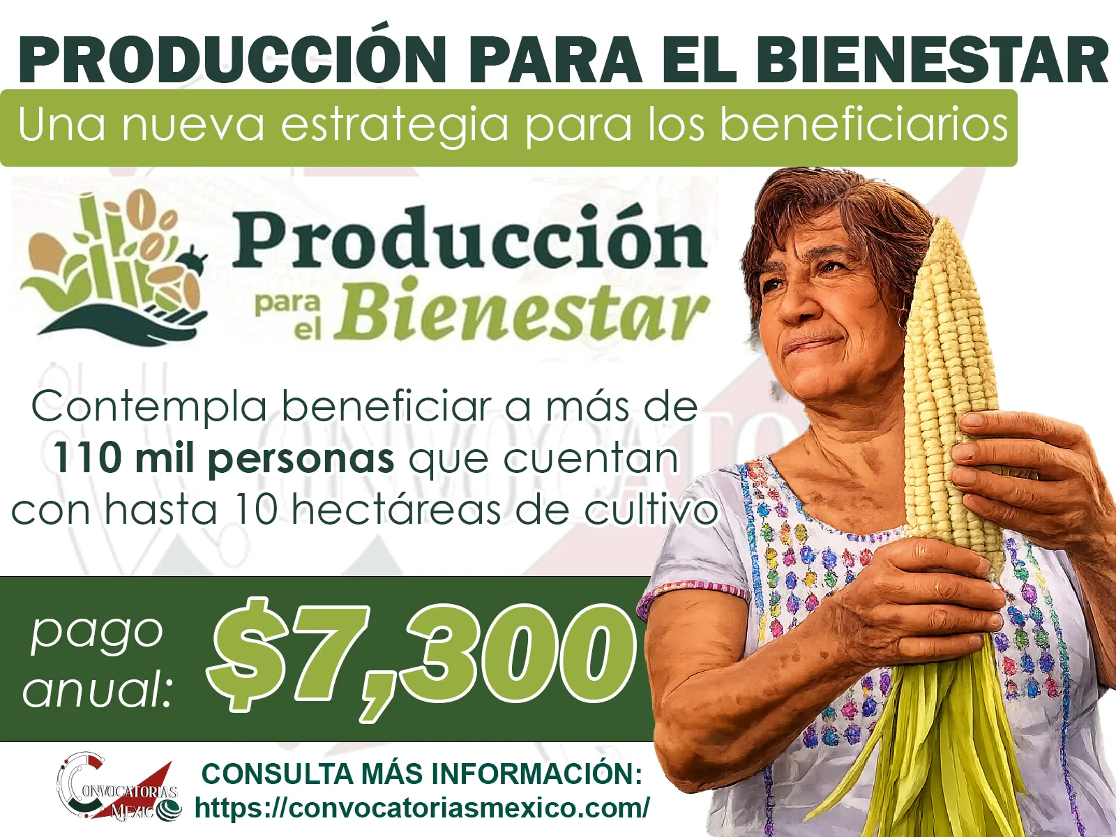 Producción para el Bienestar: ¡Más apoyo al campo! Un nueva estrategia que beneficiara a mas productores