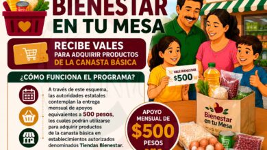 Programa Bienestar en tu Mesa: Recibe vales para adquirir productos de la canasta básica