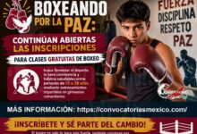 Programa Boxeo por la Paz: Realiza tu registro de forma gratuita ¡Aun esta disponible!