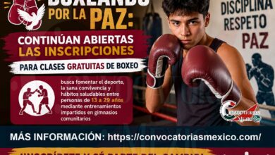 Programa Boxeo por la Paz: Realiza tu registro de forma gratuita ¡Aun esta disponible!