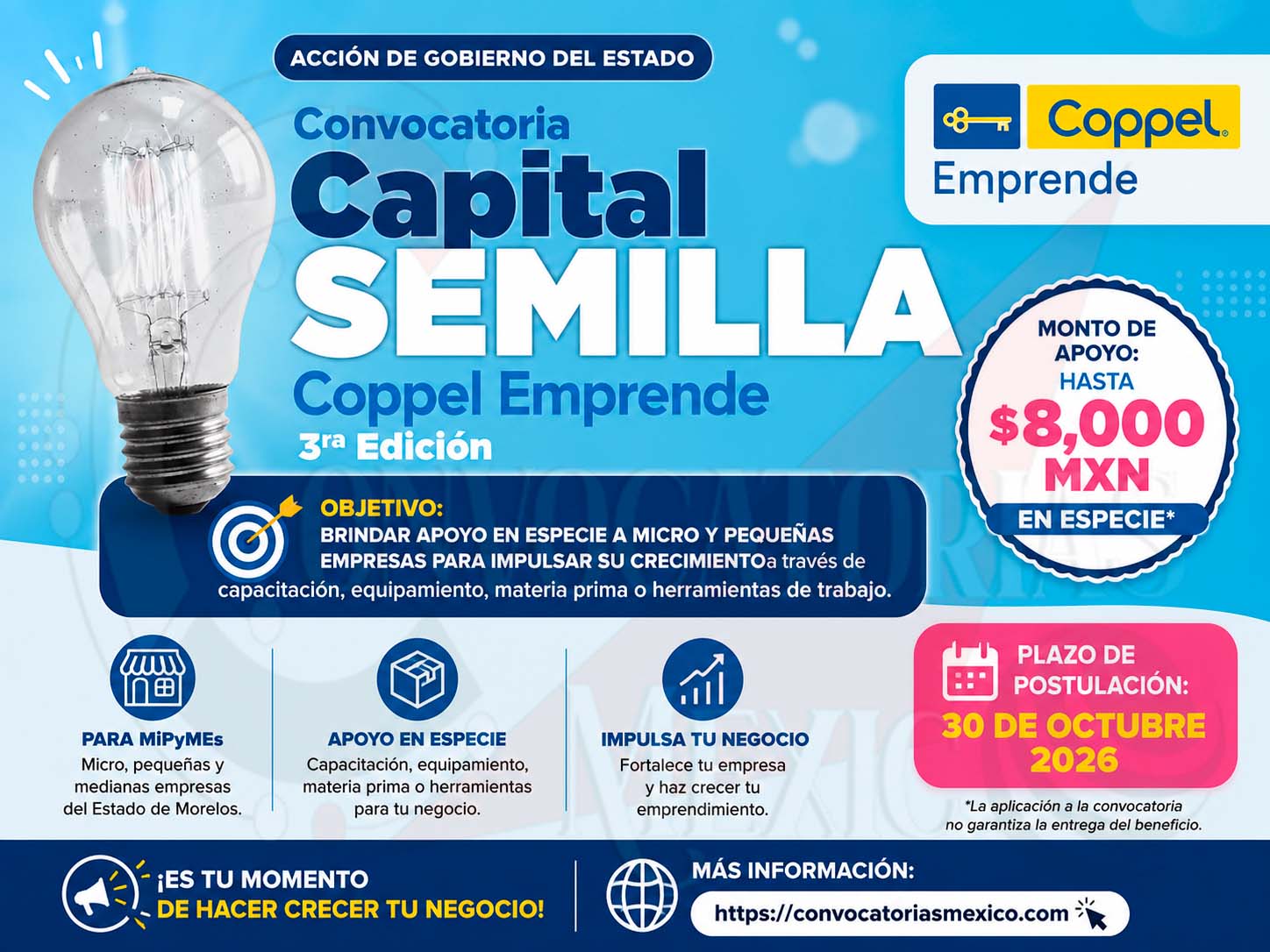 Programa Capital Semilla Coppel Emprende: Abren convocatoria para otorgar apoyos de hasta 8 mil pesos a micro y pequeñas empresas