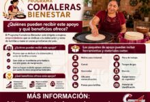 Programa Comaleras Bienestar: quiénes pueden recibir este apoyo y qué beneficios ofrece este apoyo