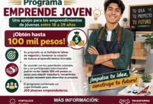 Programa Emprende Joven: Una apoyo para los emprendimientos de jóvenes entre 18 a 29 años ¡Obtén hasta 100 mil pesos!