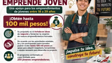 Programa Emprende Joven: Una apoyo para los emprendimientos de jóvenes entre 18 a 29 años ¡Obtén hasta 100 mil pesos!