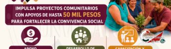 Programa Petate de Colores:  Impulsa proyectos comunitarios con apoyos de hasta 50 mil pesos para fortalecer la convivencia social