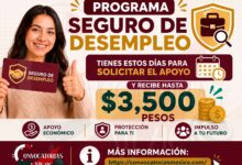 Programa Seguro de Desempleo: Tienes este dias para poder solicitar el apoyo y recibir asi hasta  3 mil 500 pesos