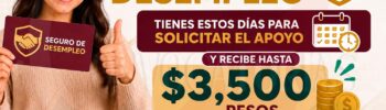 Programa Seguro de Desempleo: Tienes este dias para poder solicitar el apoyo y recibir asi hasta  3 mil 500 pesos