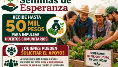 Programa Semillas de Esperanza: Recibe hasta 50 mil pesos para impulsar huertos comunitarios