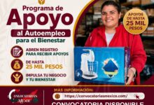 Programa de Apoyo al Autoempleo para el Bienestar: Abre registro para otorgar apoyos de hasta 25 mil pesos a emprendedores