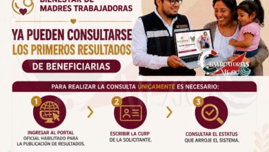 Programa de Apoyo para el Bienestar de Madres Trabajadoras: Ya pueden consultarse los primeros resultados de beneficiarias