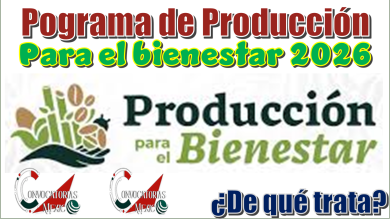 Programa de Producción para el Bienestar 2026 | ¿De qué trata?