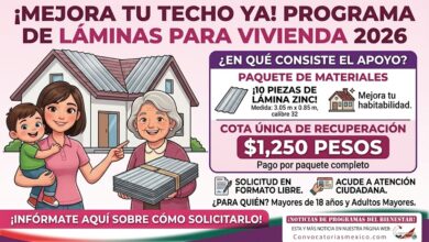 Paquetes de láminas para mejoramiento de vivienda en Centron requisitos, costo y cómo solicitar el apoyo