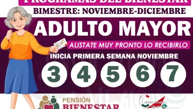 Pensión Bienestar Adulto Mayor: Estas son las posibles fechas de pagos para el último bimestre del año