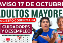 Qué convocatorias y consultas están activas en octubre de 2026
