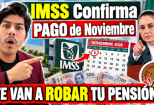 Qué pasa con la Modalidad 40 del IMSS y el periodo de revisión de seis meses