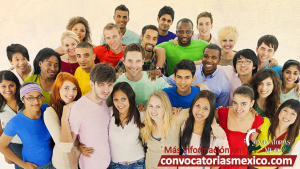 Quién puede acceder a estas becas