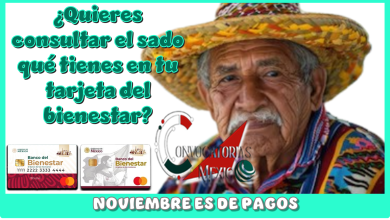 ¿Quieres consultar el saldo qué tienes en tu tarjeta del bienestar? | NOVIEMBRE ES DE PAGOS