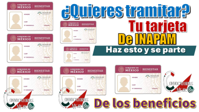 ¿Quieres tramitar tu tarjeta de INAPAM? | Haz esto y se parte de los beneficios