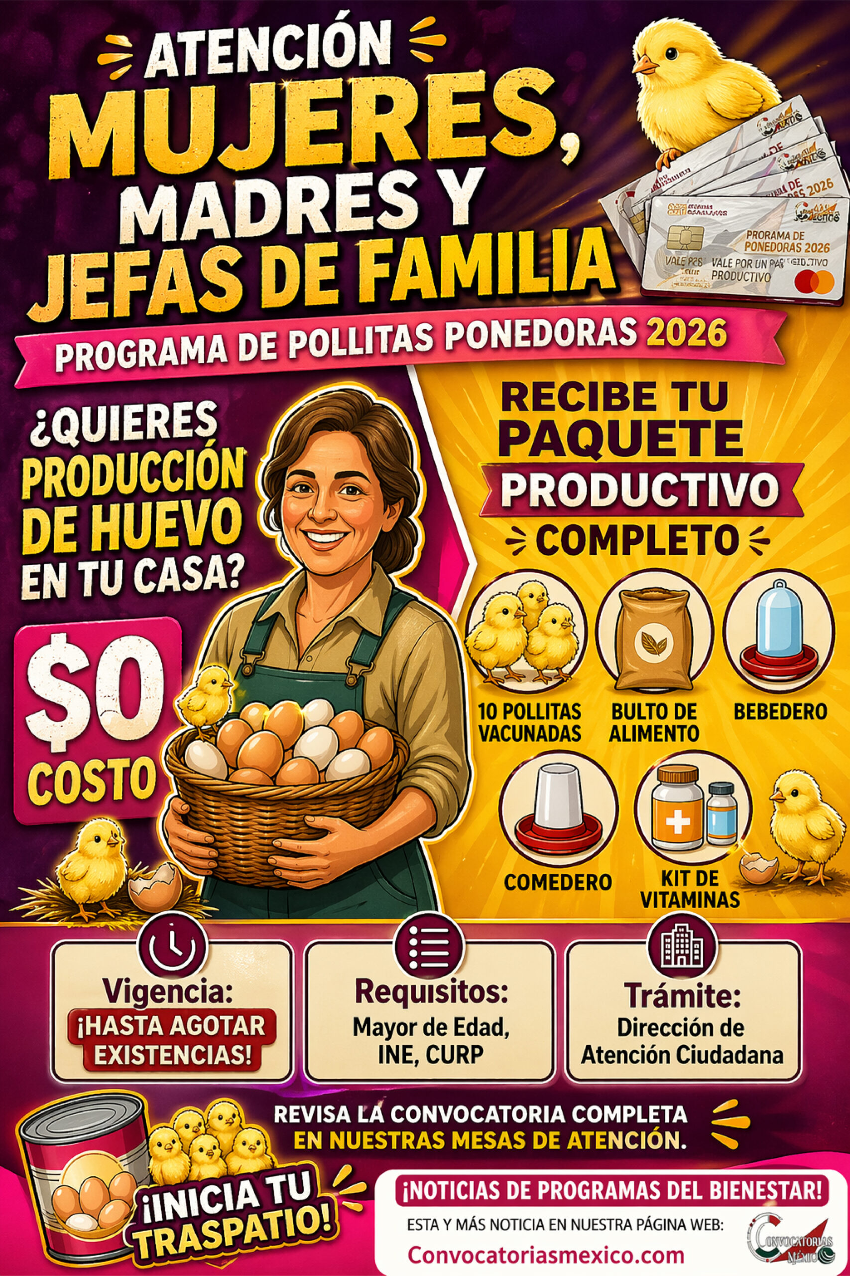 Impulso a las Mujeres para la Producción de Pollitas Ponedoras 2026: apoyo para mujeres de Centro