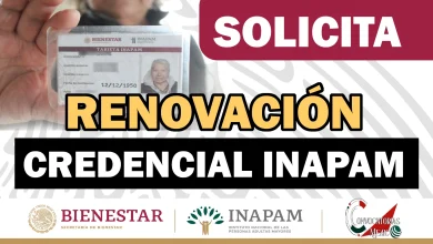 Te Diremos que Debes Hacer para Renovar tu Credencial INAPAM