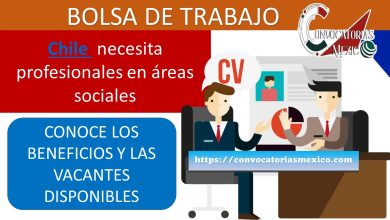 Bolsa de Trabajo Social Chile