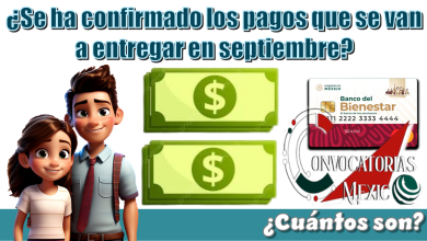 ¿Se han confirmado los pagos que van a entregar en septiembre?, ¿Cuántos son?…Beca Benito Juárez y Beca Rita Cetina